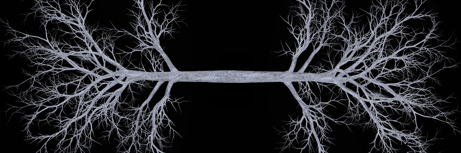 4est4thetrees's profile banner image