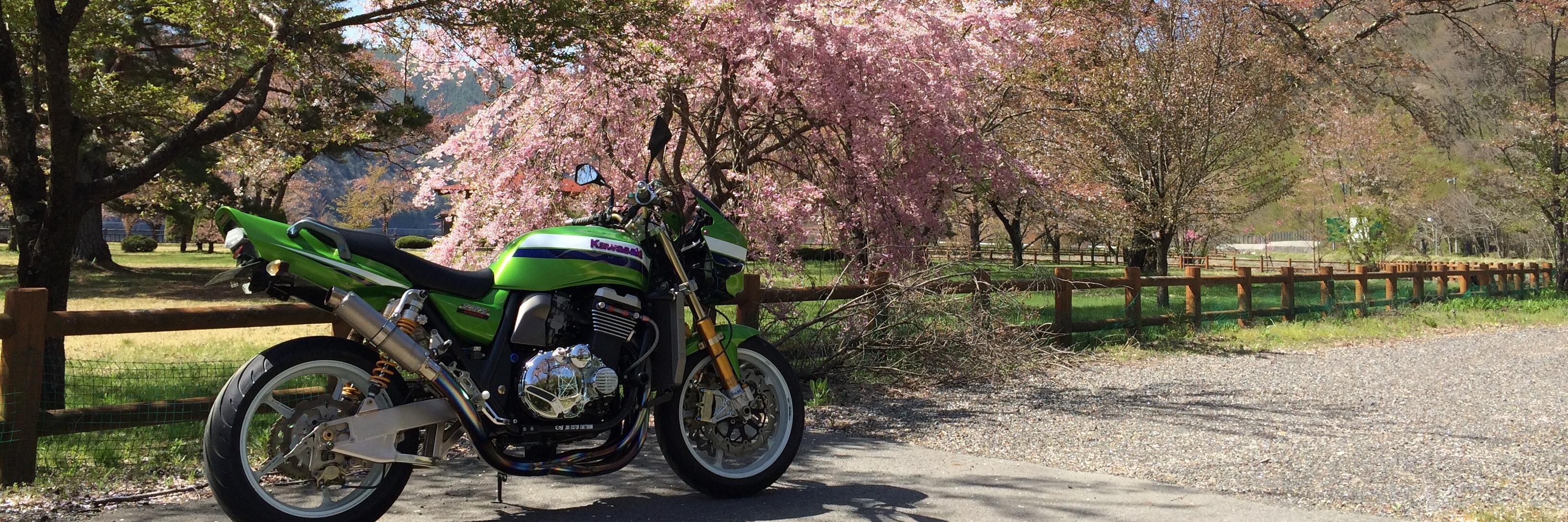 verde_rider's profile banner image