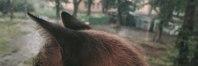 gapsgapsgaps's profile banner image