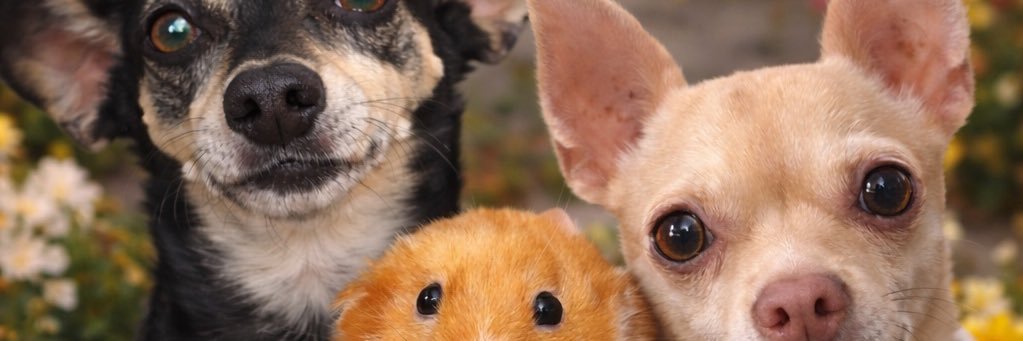 MonseReynna's profile banner image