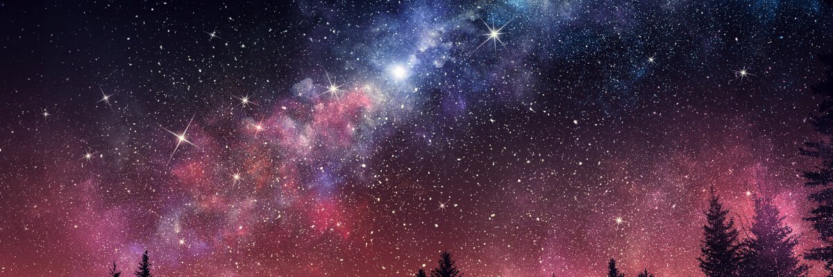 PrettyDamnFoxy's profile banner image