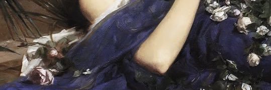SonicAnnie's profile banner image