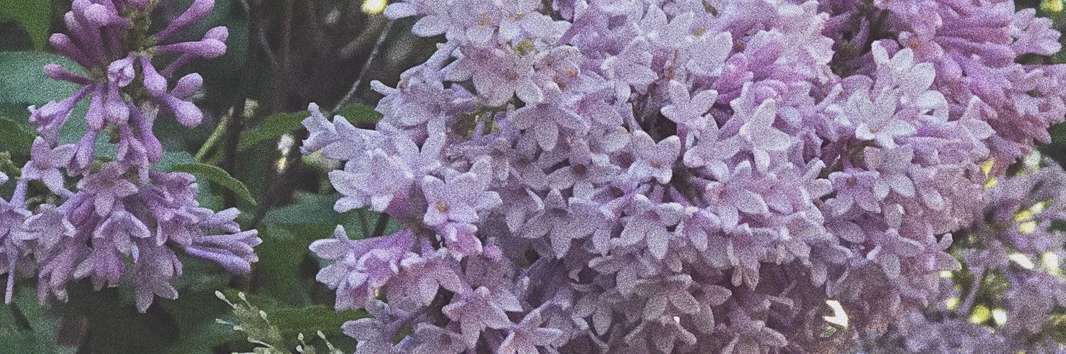 caseyannspencer's profile banner image
