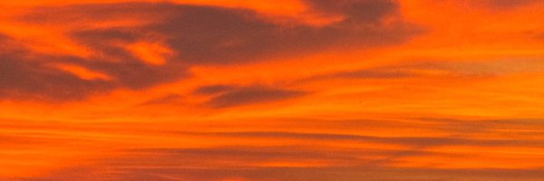 katpapera Profile Banner