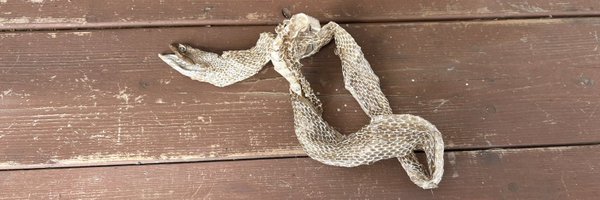 tomy_impact Profile Banner