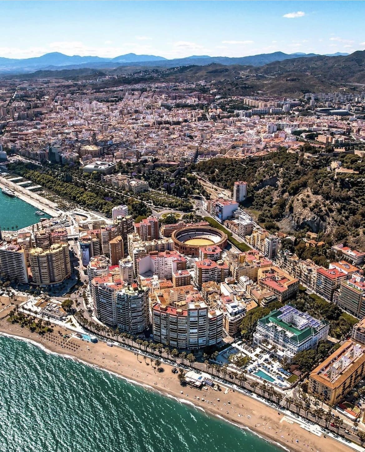 Ergacan's profile banner image