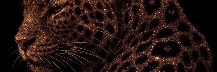 Mariedmarques's profile banner image
