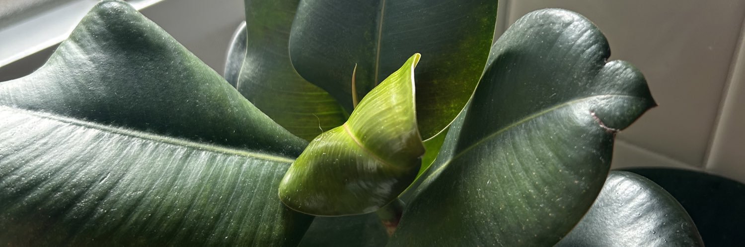 Kuyadaniel_'s profile banner image