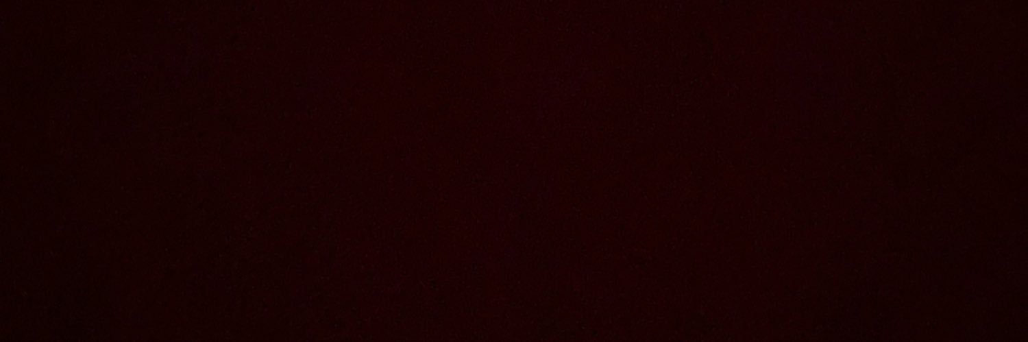 Sara banner