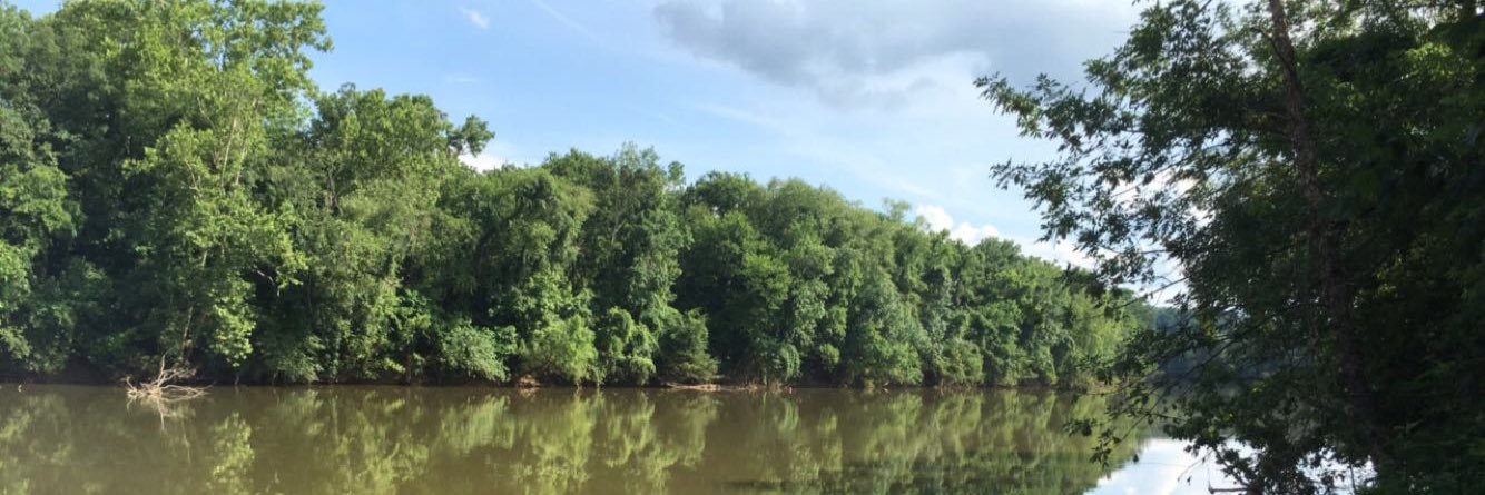 WillYount13's profile banner image