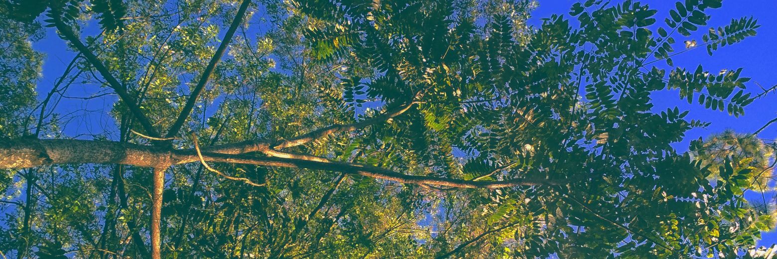 agusekaprs's profile banner image