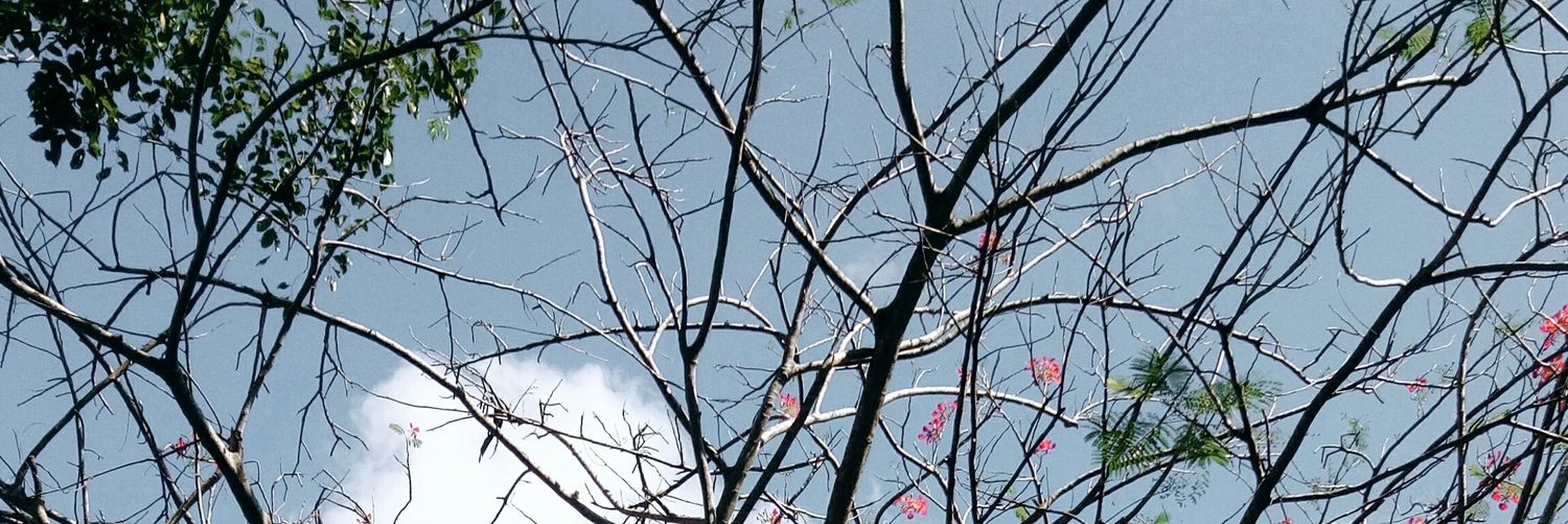 bukansetaan's profile banner image