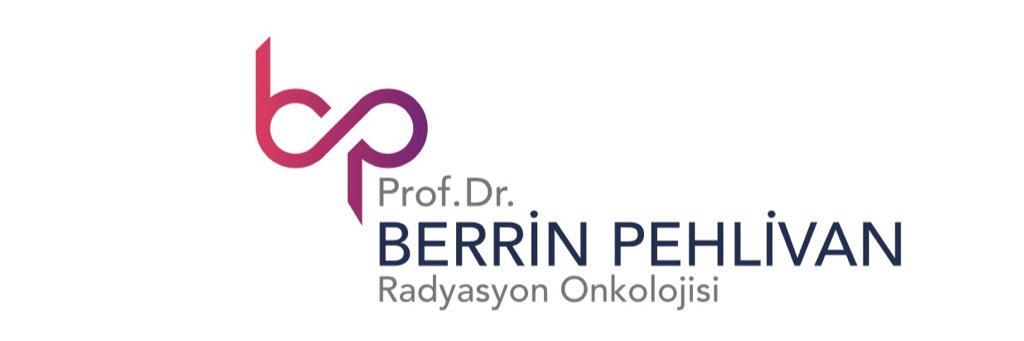 PehlivanBerrin's profile banner image