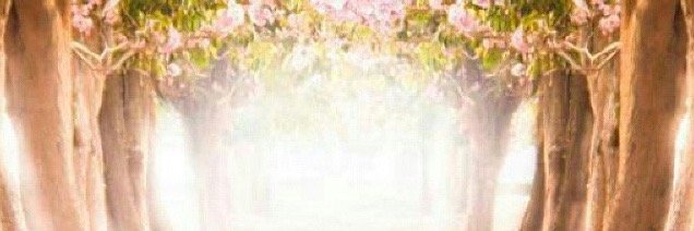 16gebhardt's profile banner image
