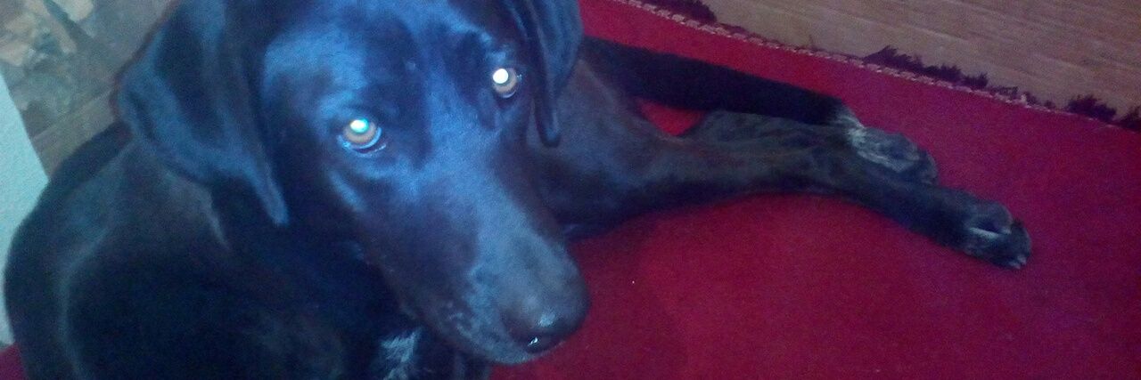 Emi Roas, Mimi🇦🇪🌈🔻 banner