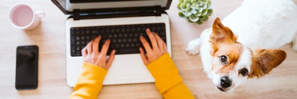 PawsquadUK Profile Banner