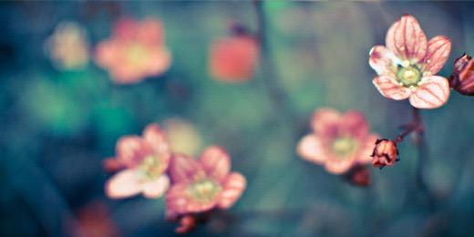 Vanessa286's profile banner image