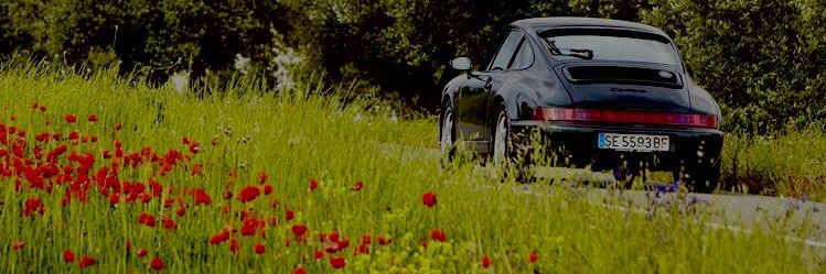 NachoCarrascoP banner