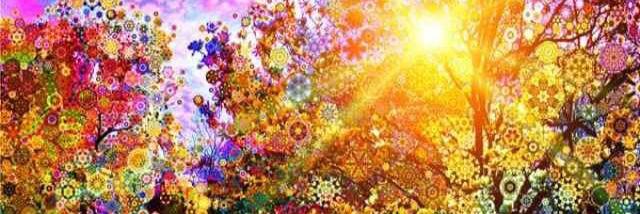 Grace Watts... Xxx banner