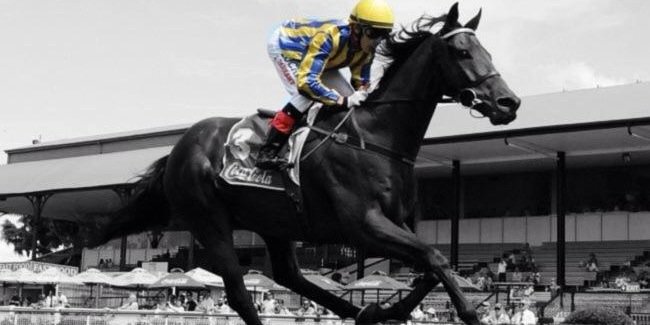 Ltarrant94's profile banner image