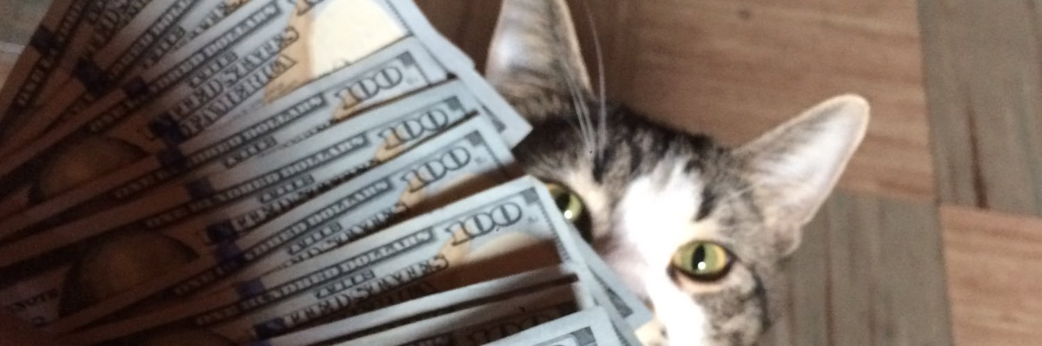 Roczula's profile banner image