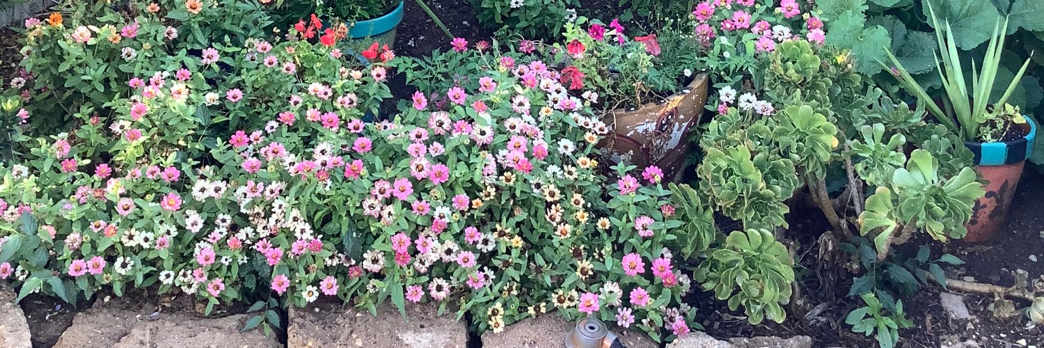 Rubydoobyx's profile banner image