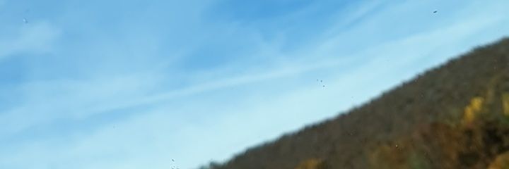 34thasaur banner