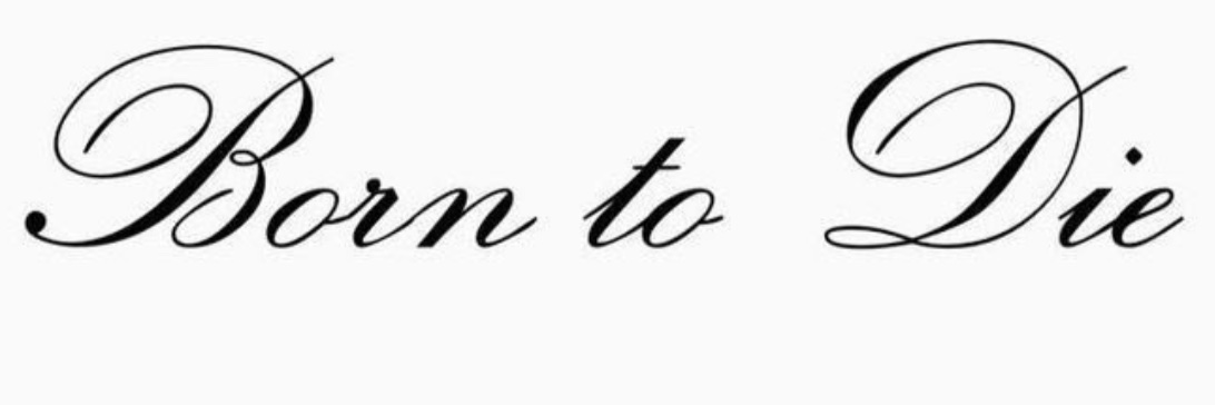 tsnmi81's profile banner image
