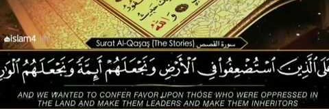 حاج فاضل banner