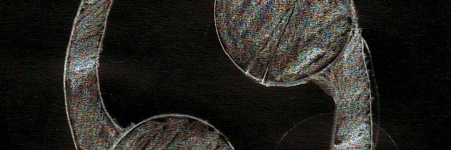 Nickolas Coltheart banner