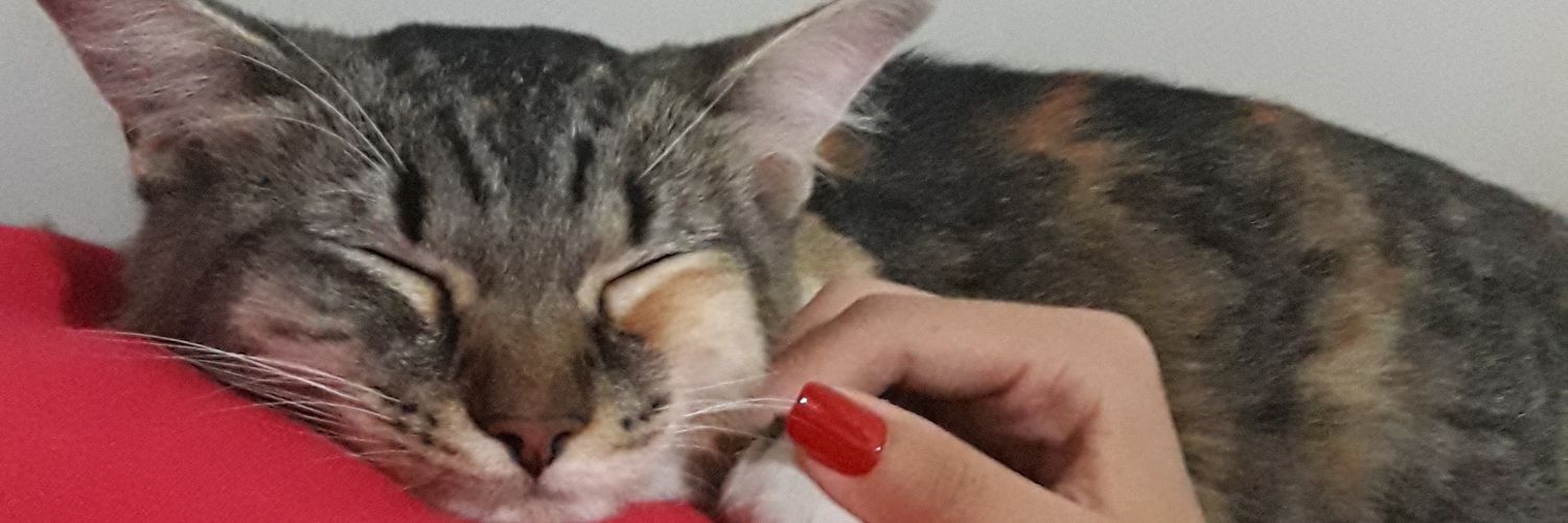 Malebelenp's profile banner image
