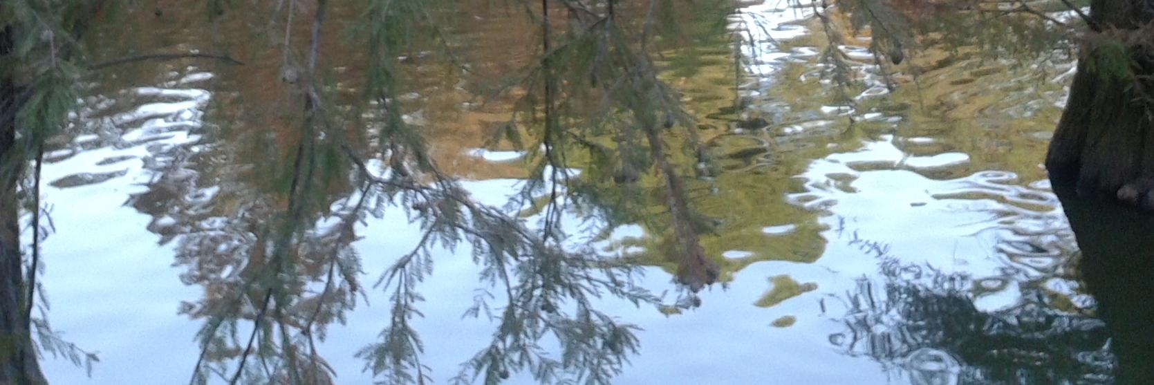 Bourdeau-Lepage Lise banner
