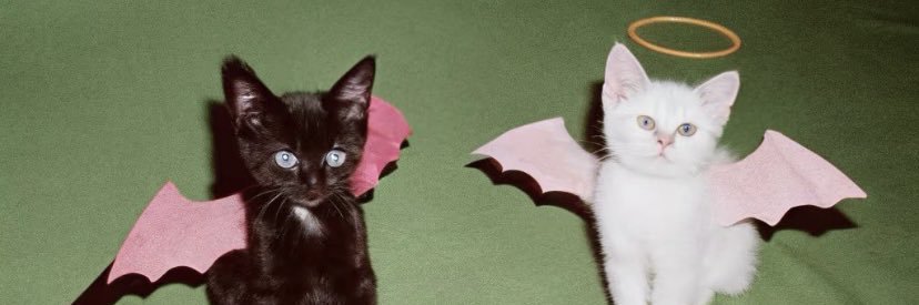 leléznim ☁️ banner