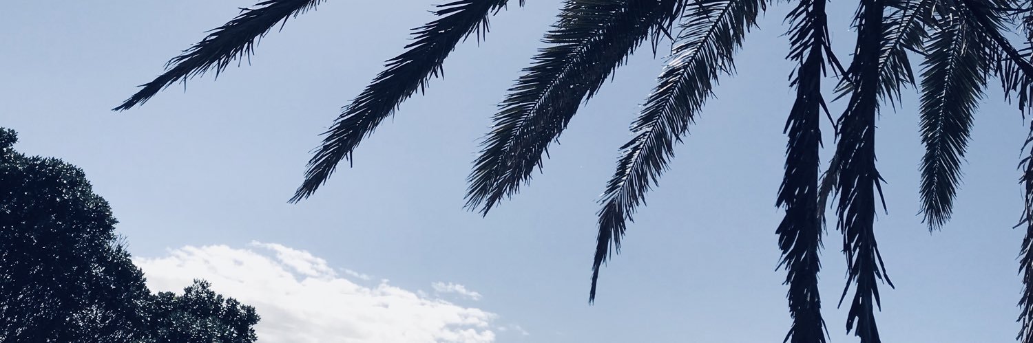 xemilyjas's profile banner image