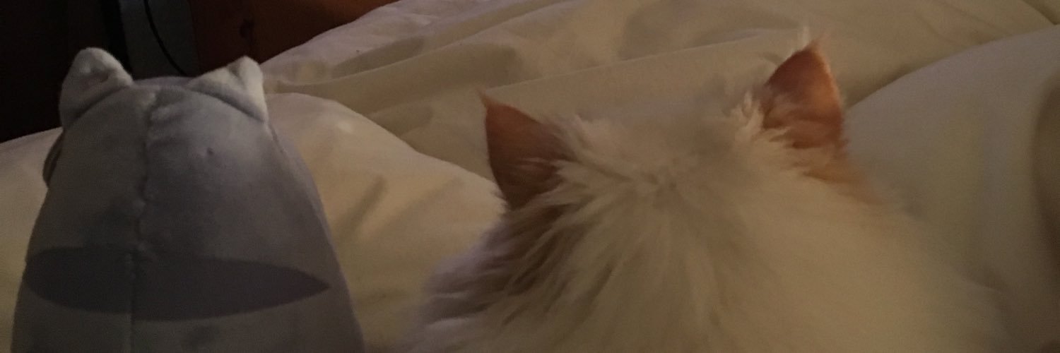 nataliaes2014's profile banner image