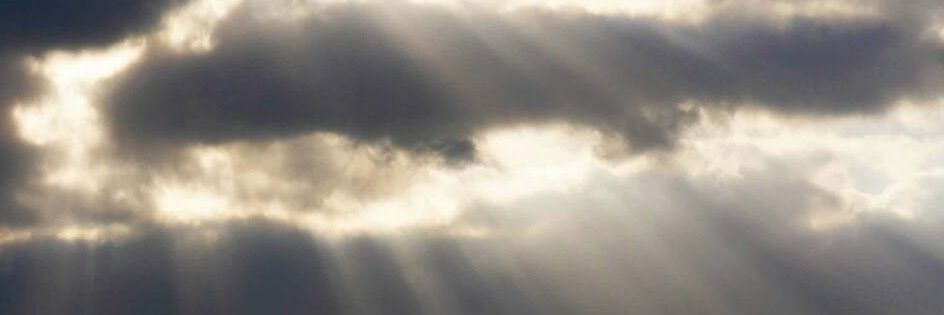 Trilobite22's profile banner image