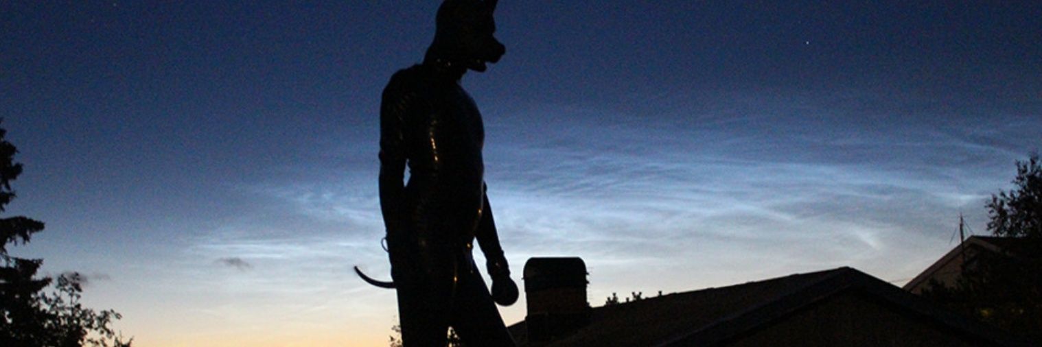 𝕎𝕒𝕗𝕗 banner