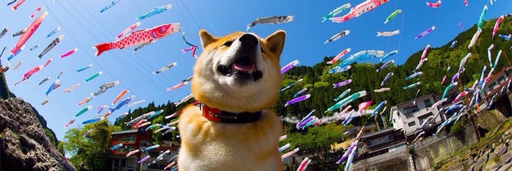 Kenneth Soo banner
