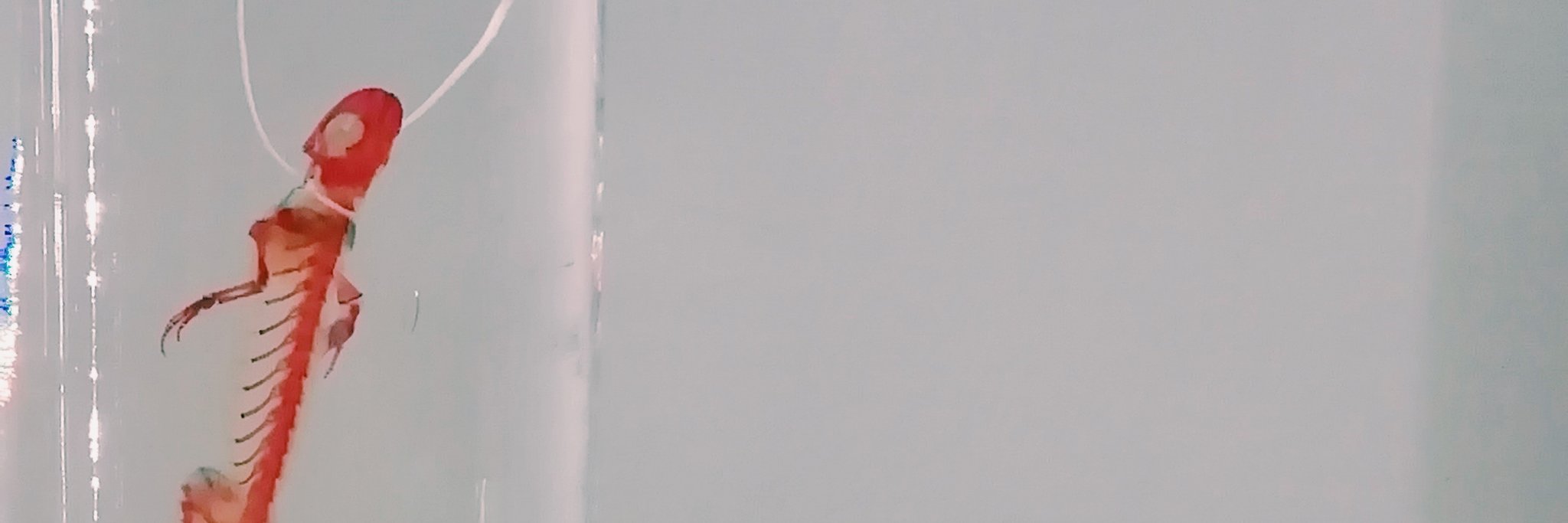 cooortinez's profile banner image