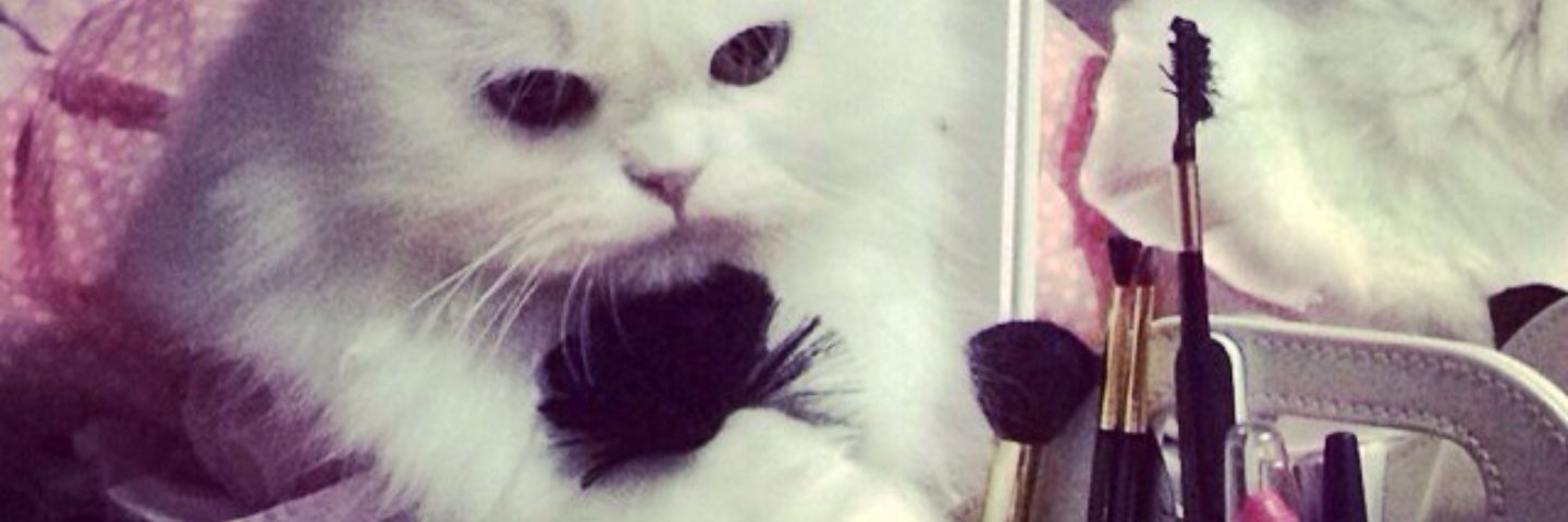 GoutteNada's profile banner image