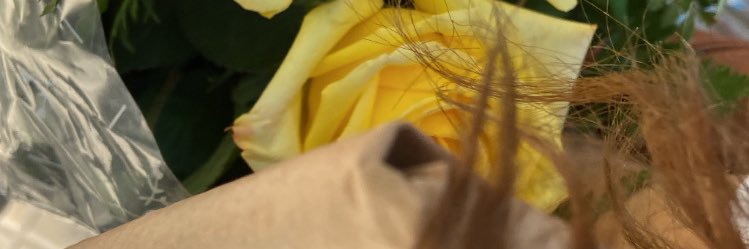 micaeladelgg's profile banner image