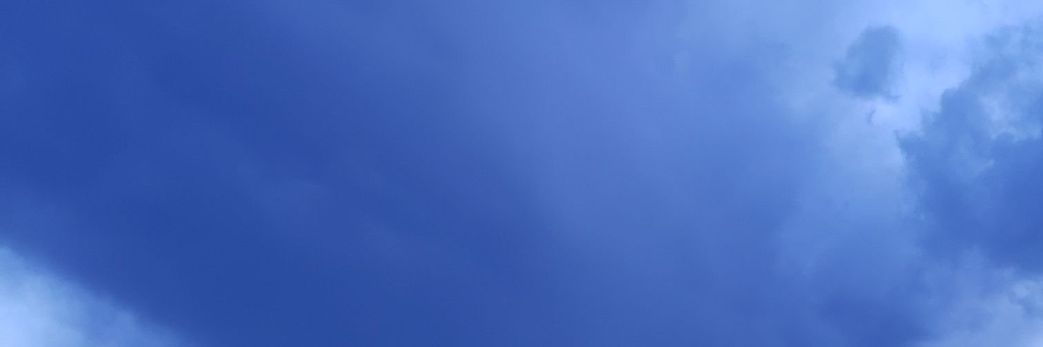 CallieElkins's profile banner image