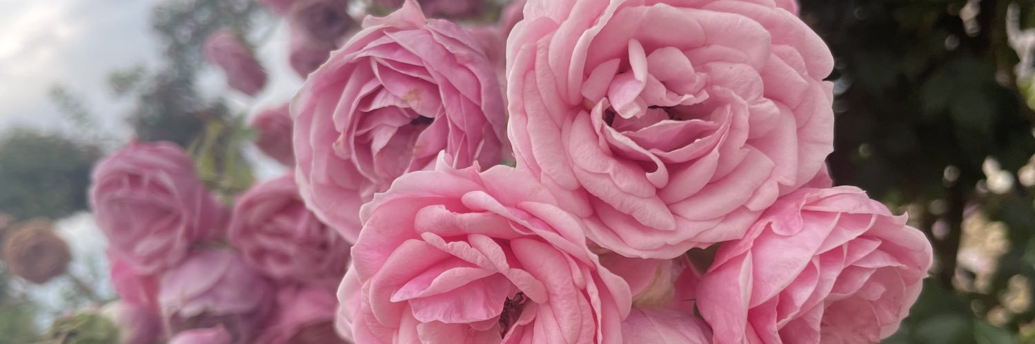 EPink21s's profile banner image
