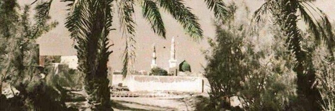 talhakaya1997's profile banner image