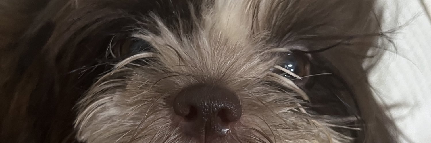 cessybanaag's profile banner image
