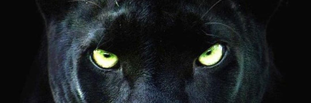 Greg_moore0's profile banner image