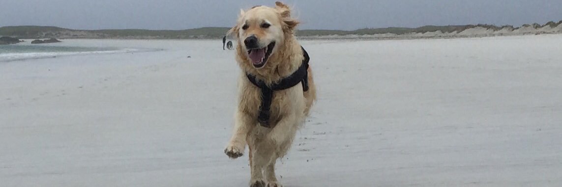 Pat John McCoole banner