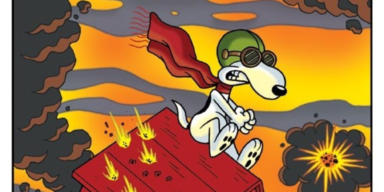 SnoopyVet's profile banner image