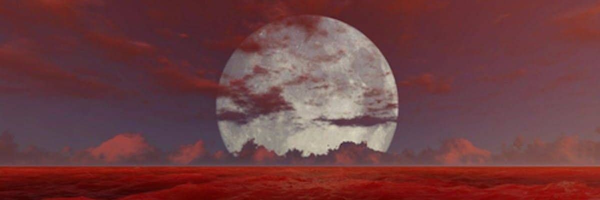_padd1er's profile banner image