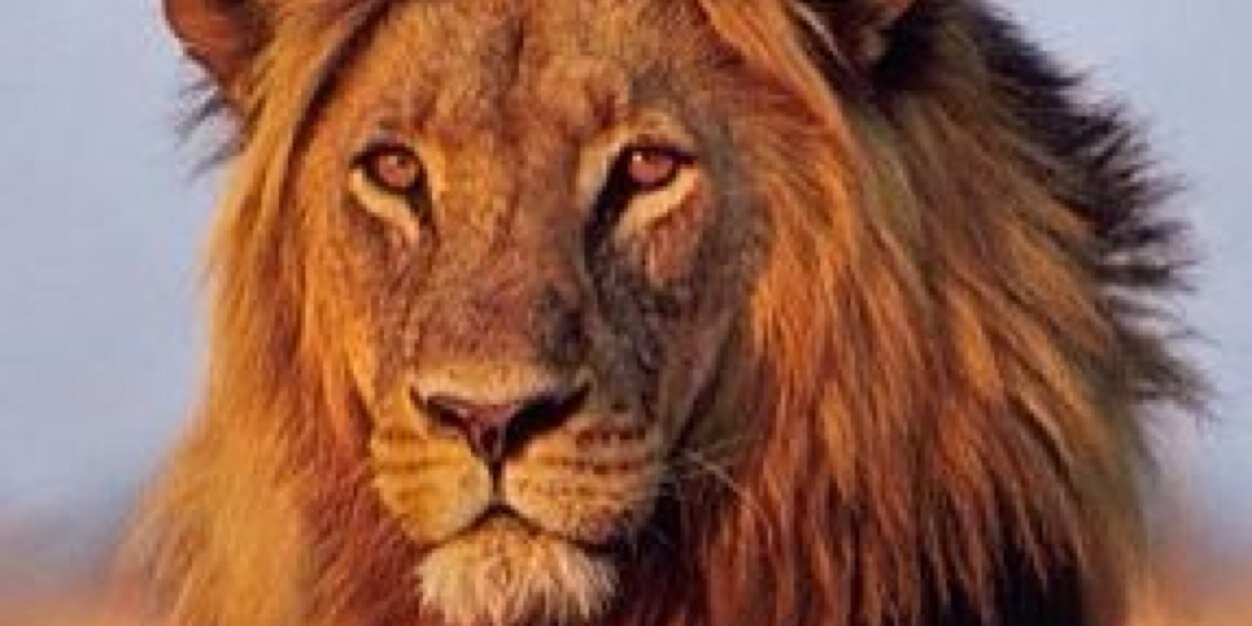 sharafme's profile banner image